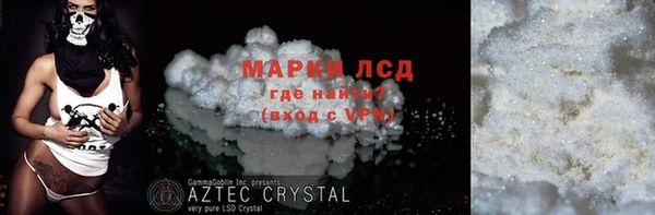 прущие грибы Абдулино