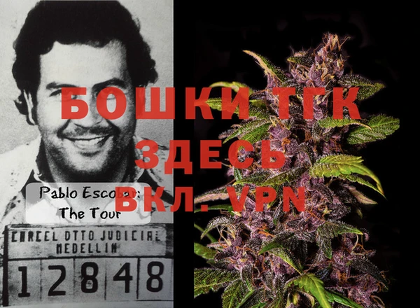 прущие грибы Абдулино