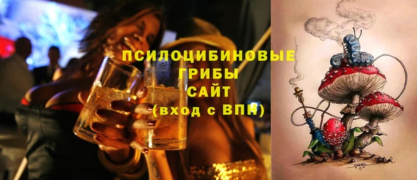 прущие грибы Абдулино