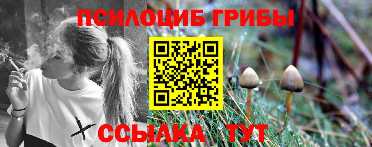 Котлас  Псилоцибиновые грибы GOLDEN TEACHER  Вход с VPN  Псилоцибиновые грибы прущие грибы 